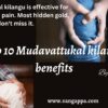 Mudavattukal kilangu benefits