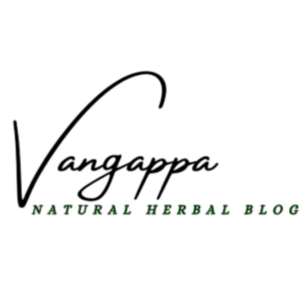 vangappa.com