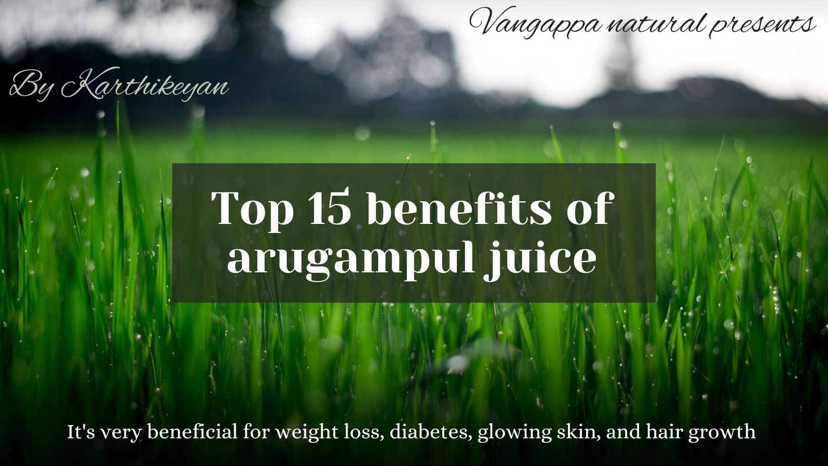 Arugampul benefits shop